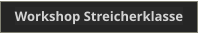 Workshop Streicherklasse