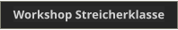 Workshop Streicherklasse